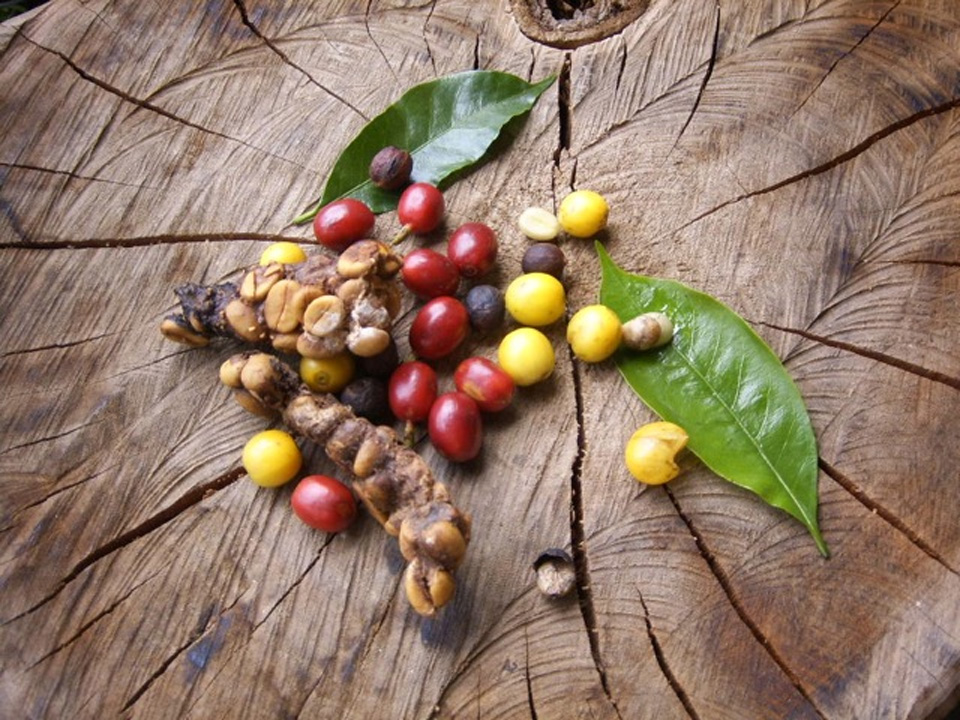 Specialty Coffee ~Main Menu Specialty Coffee ~Main Menu