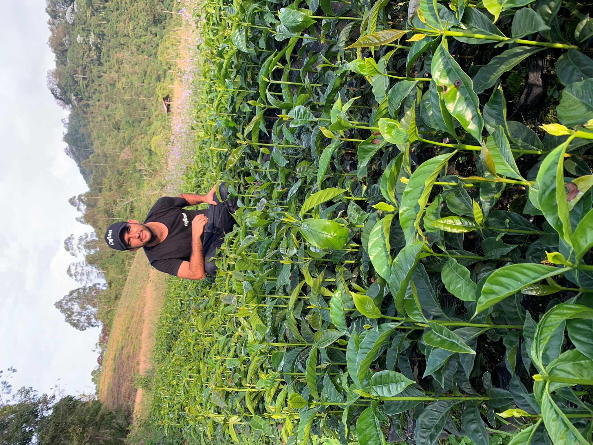 Specialty Coffee ~Main Menu